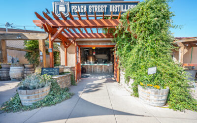 Commercial Showcase in Mesa County